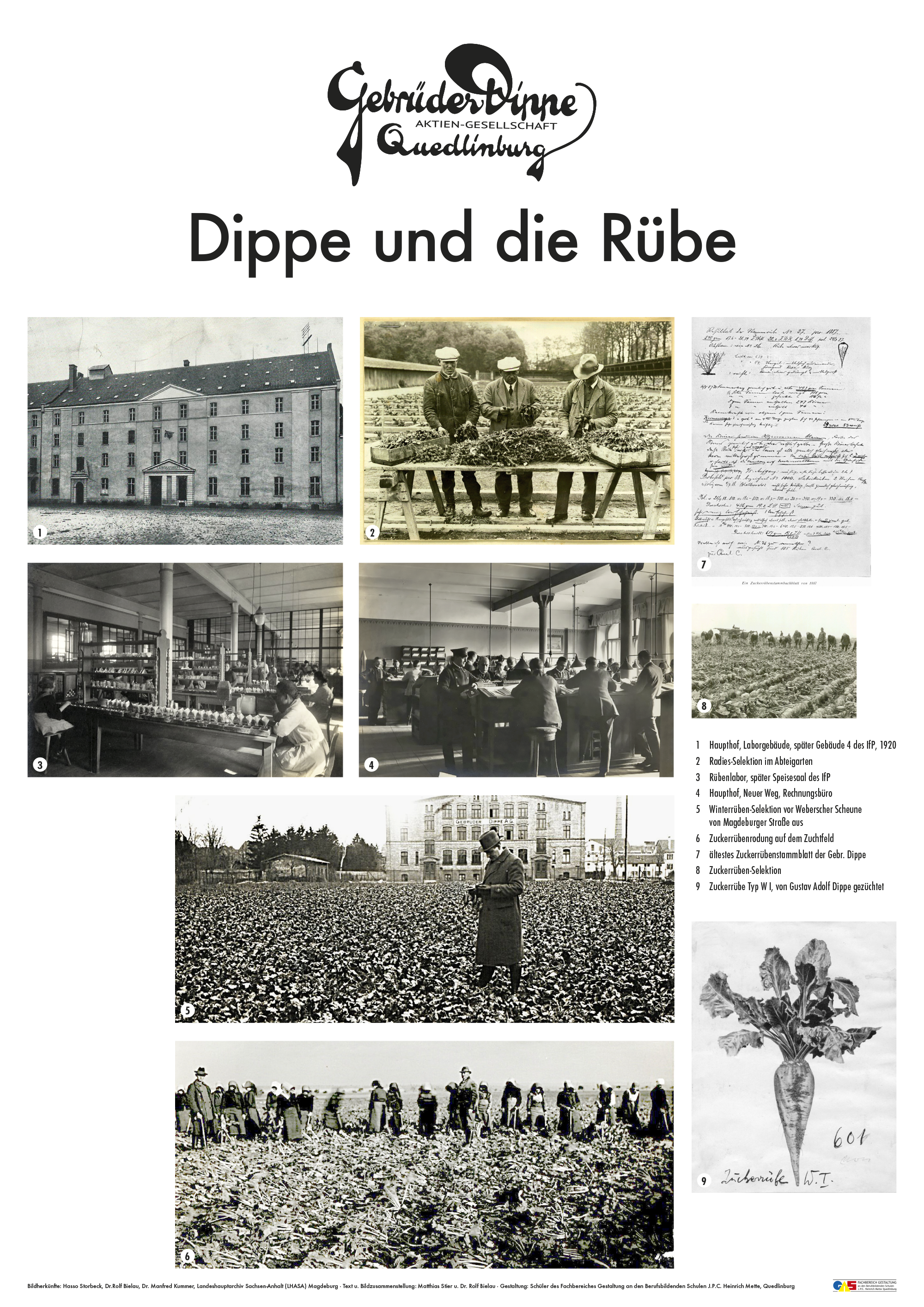 Dippe Tafeln web 2