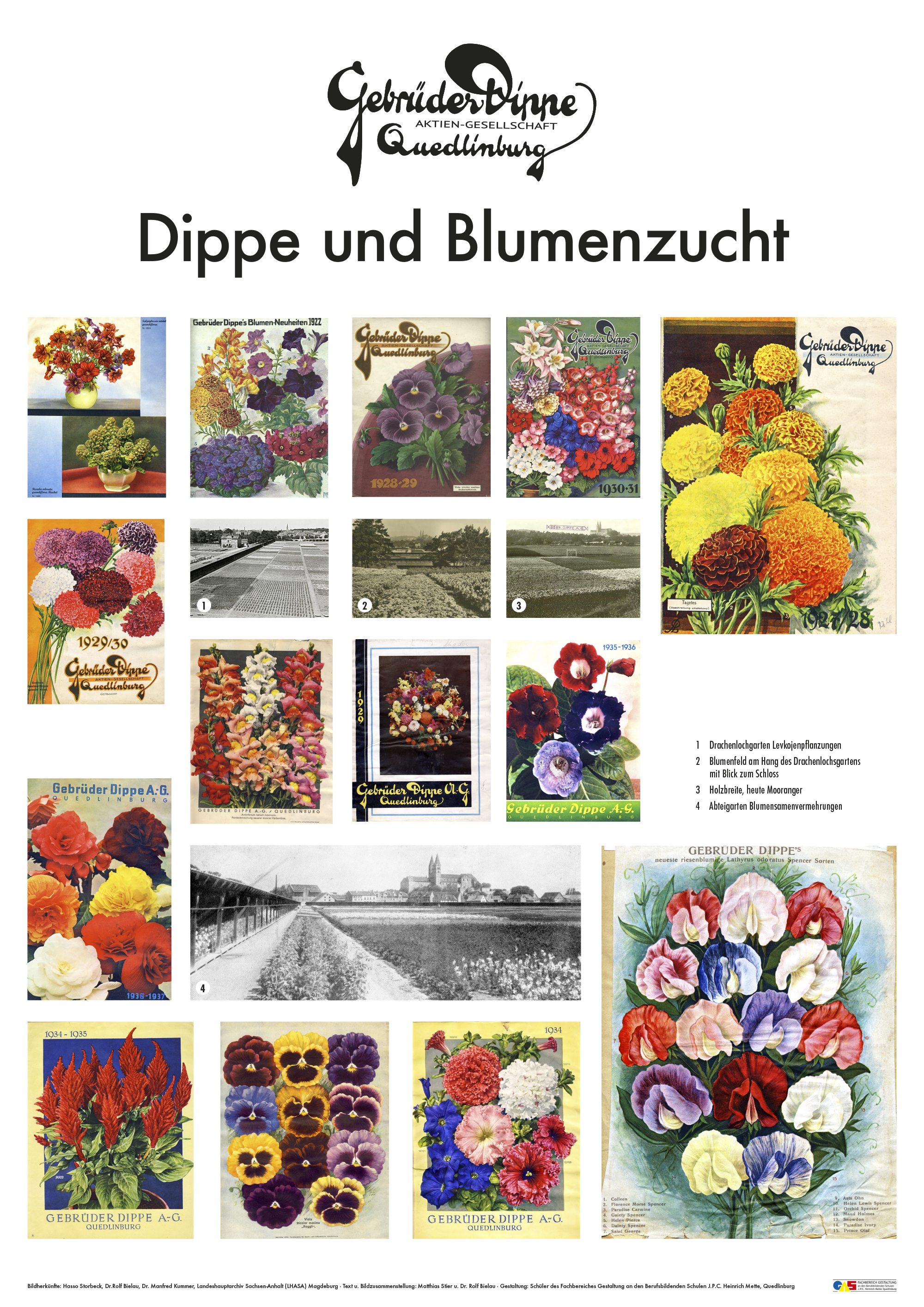 Dippe Tafeln web 4