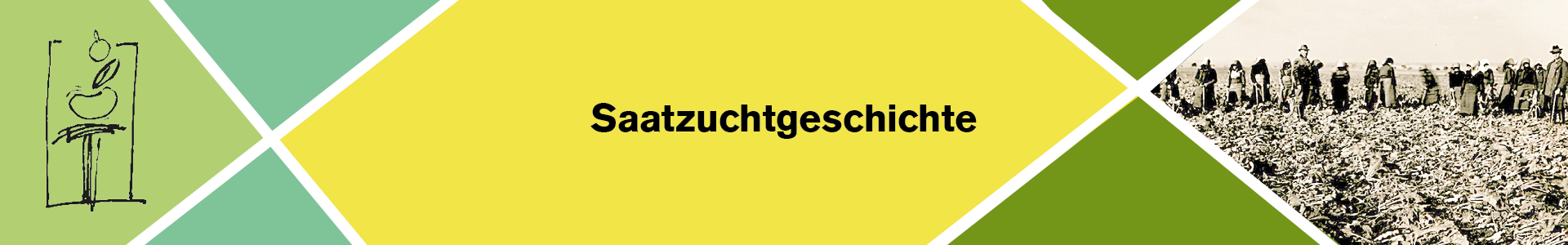 Saatzuchttradition_Header_Saatzuchtgeschichte.png