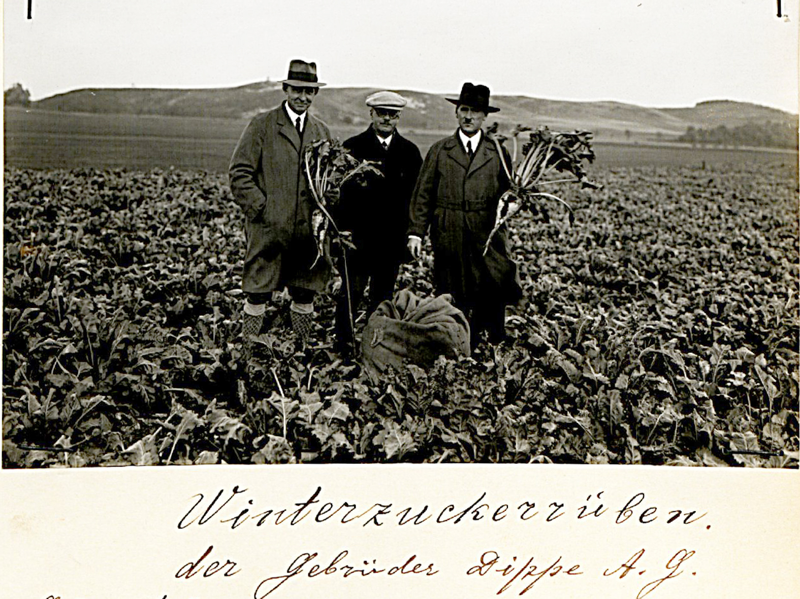 Rittmeister Eichert-Wicksdorff, Dr. Eugen Claus, Prof. Dr. Spengler, Quelle: E. Pauly, IfZ